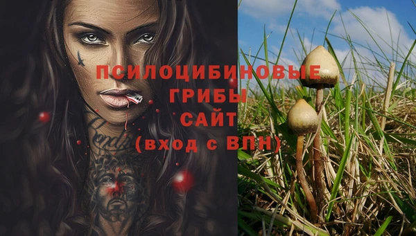 MDMA Premium VHQ Верхний Тагил