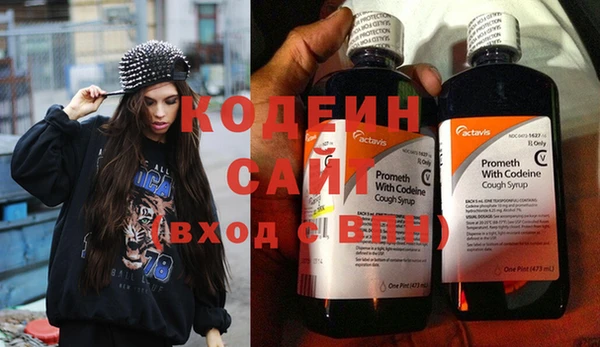 шишки Бородино