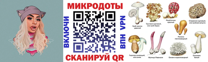 как найти наркотики Ижевск Псилоцибиновые грибы Psilocybe